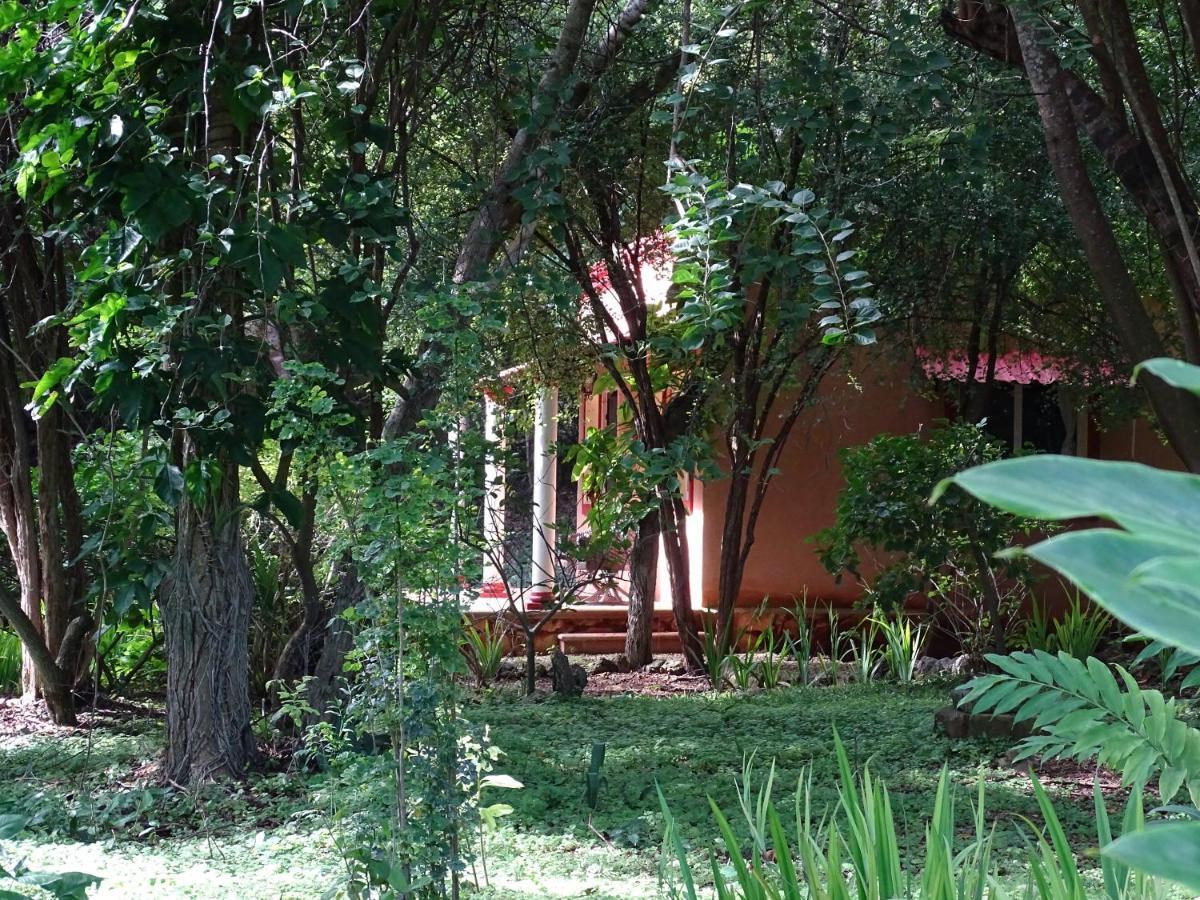 The Flycatcher Inn Retreat Hotel Santa Elena Luaran gambar