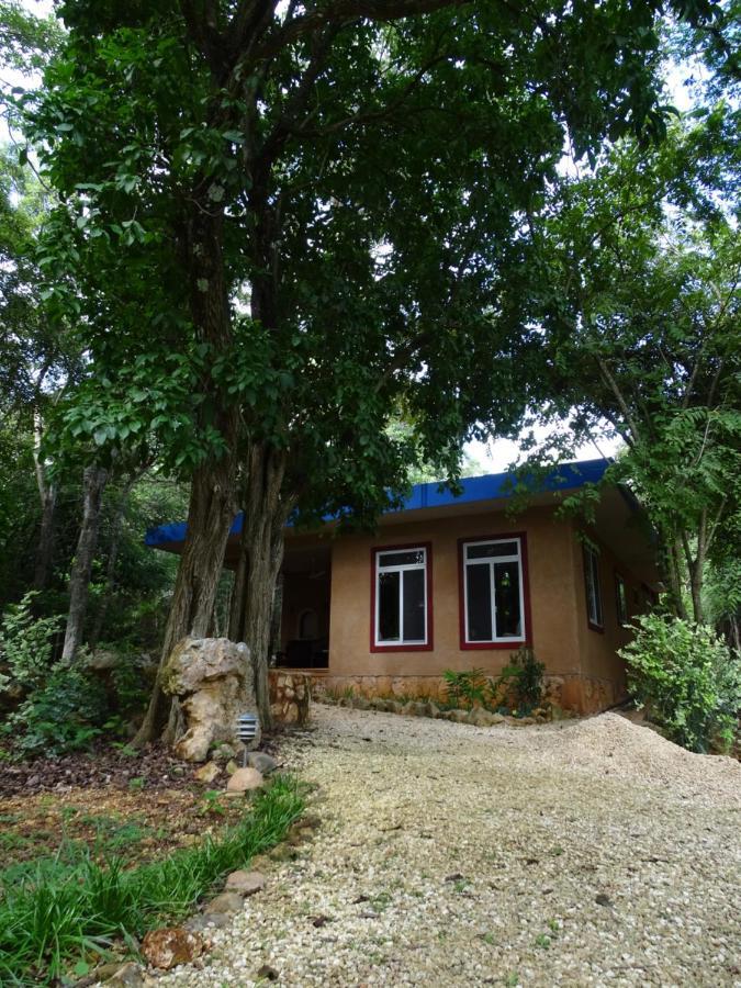 The Flycatcher Inn Retreat Hotel Santa Elena Luaran gambar