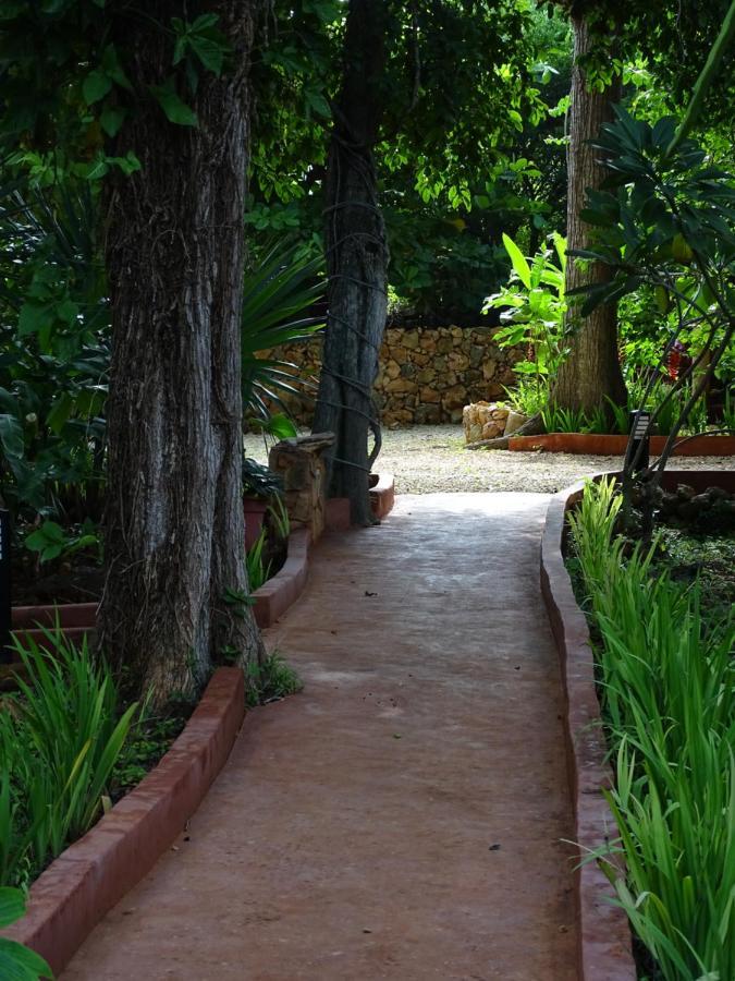 The Flycatcher Inn Retreat Hotel Santa Elena Luaran gambar